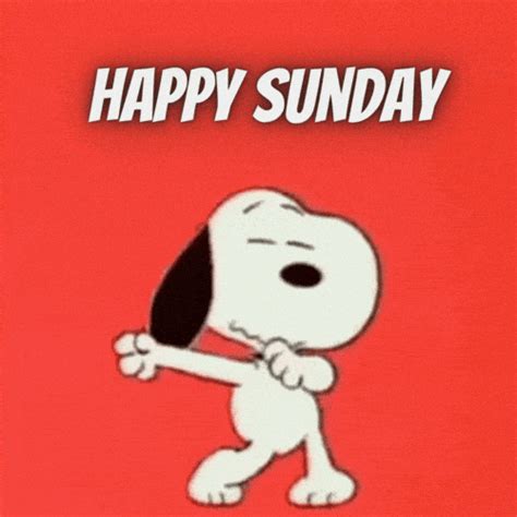 com has been translated based on your browser's language setting. . Snoopy sunday gif